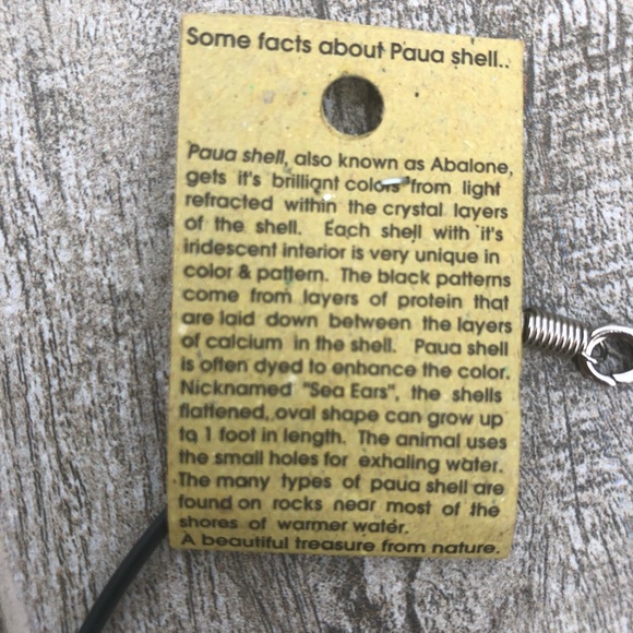 Paua shell necklace ONE LEFT!! - Picture 6 of 6